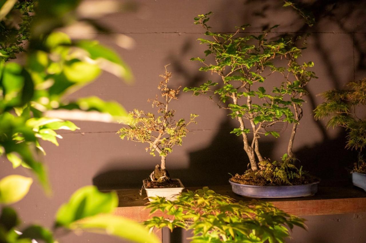 Carbognano Il Giardino Segreto 아파트 외부 사진