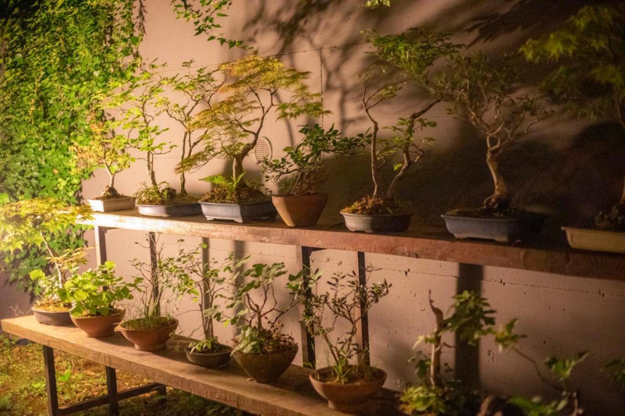 Carbognano Il Giardino Segreto 아파트 외부 사진