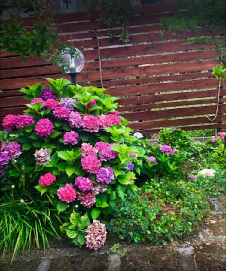 Carbognano Il Giardino Segreto 아파트 외부 사진
